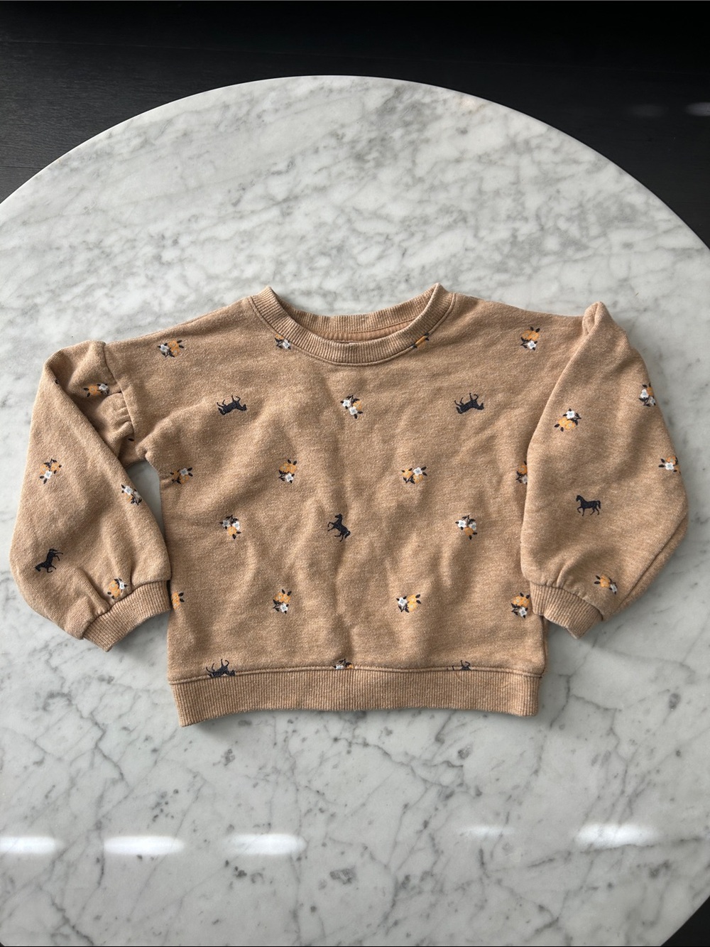 Janie & Jack girls Sweatshirt flower and horse print. Size 3T